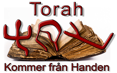 Ordet Torah som ofta översätts ”lag” en kommer av ordet Yarah som betyder att kasta.